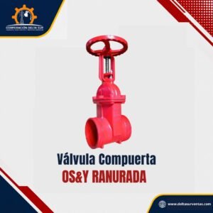 VALVULA COMPUERTA RANURADA